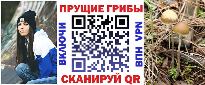mega зеркало  Таганрог  Псилоцибиновые грибы мухоморы 