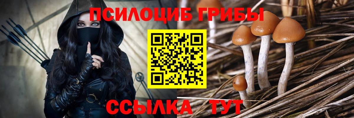 Галлюциногенные грибы Magic Shrooms  Вход с VPN  Псилоцибиновые грибы MAGIC MUSHROOMS  Таганрог 